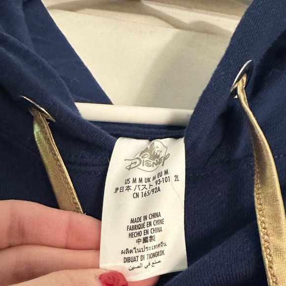 Walt Disney World Pullover Hooded Sweatshirt - Picture 3 of 3